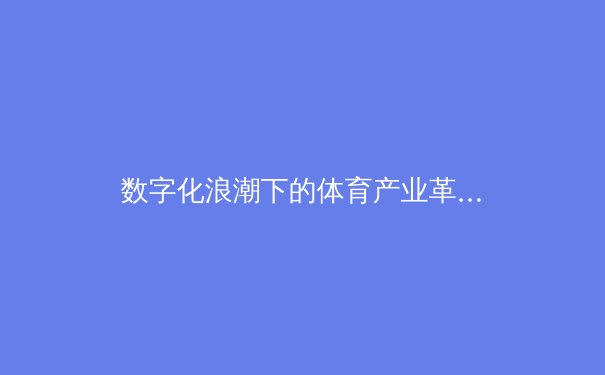 数字化浪潮下的体育产业革命：从沉浸式观赛到虚拟竞技场的未来 - 3